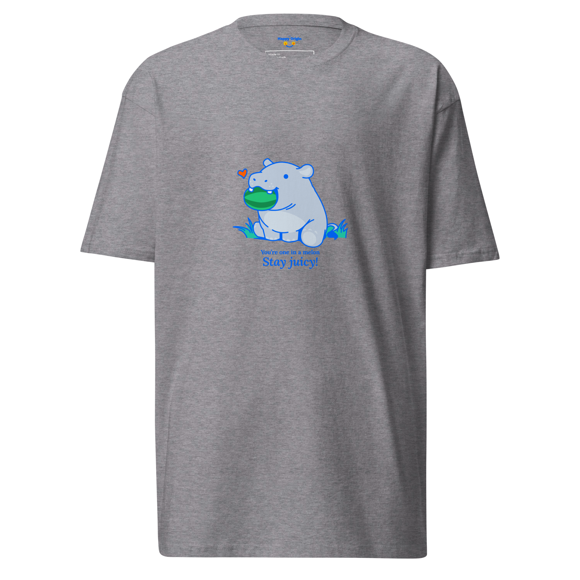 Cute Hippo grey Graphics Tee